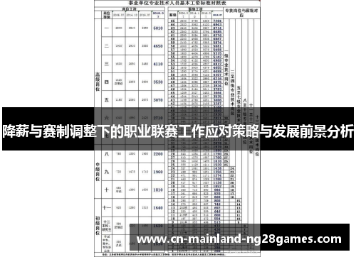 降薪与赛制调整下的职业联赛工作应对策略与发展前景分析