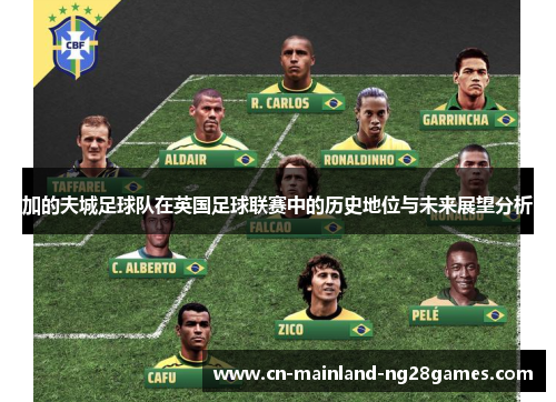加的夫城足球队在英国足球联赛中的历史地位与未来展望分析