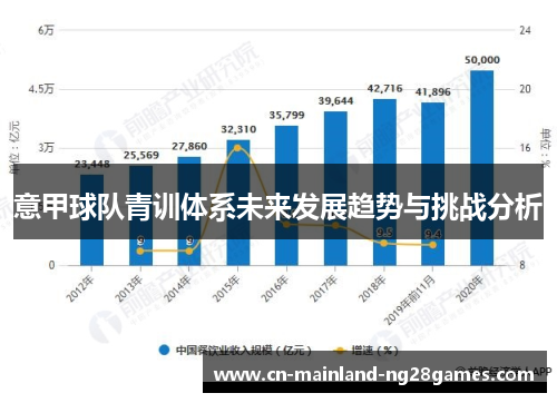 意甲球队青训体系未来发展趋势与挑战分析