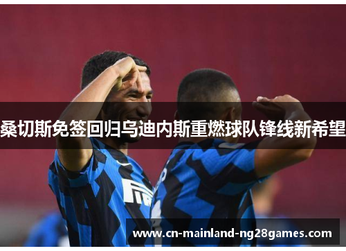 桑切斯免签回归乌迪内斯重燃球队锋线新希望 桑切斯免签回归乌迪内斯重燃球队锋线新希望