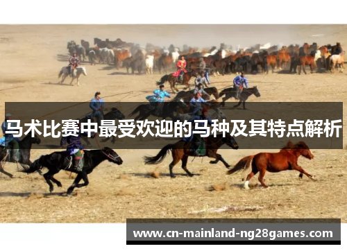 马术比赛中最受欢迎的马种及其特点解析