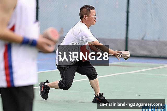 认识NG28